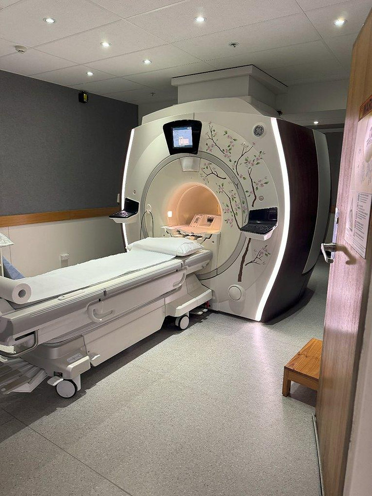 GE Optima 450W GEMS 1.5T MRI Image